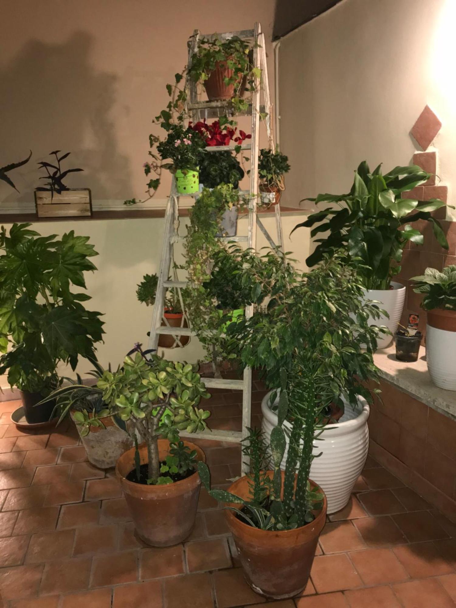 Apartment Ilbricco Neapel